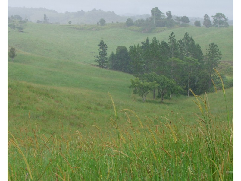 Mungalli QLD 4886