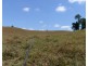 Mungalli QLD 4886