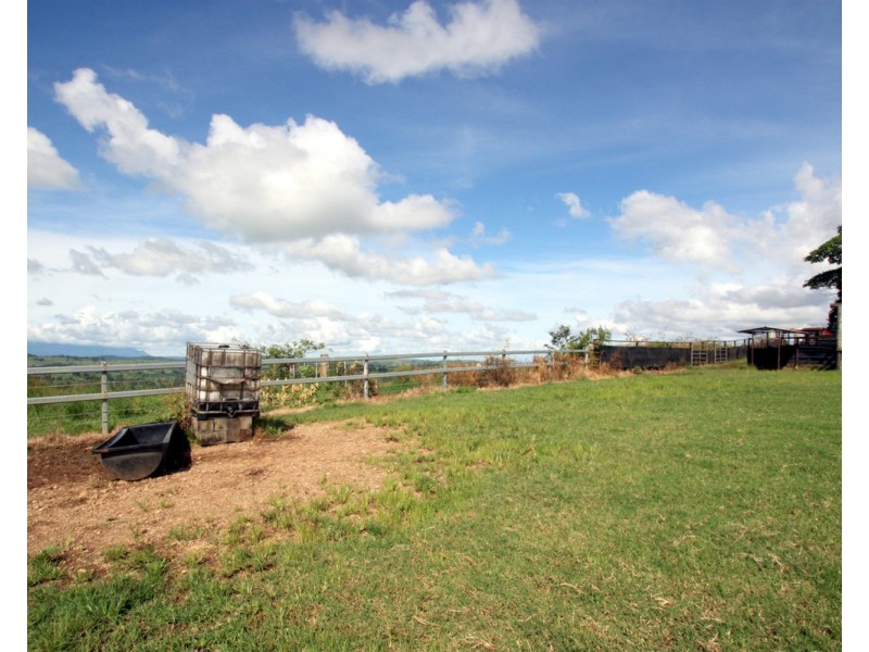 Millaa Millaa QLD 4886