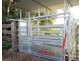 Millaa Millaa QLD 4886
