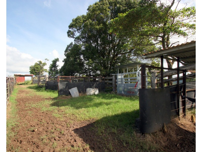 Millaa Millaa QLD 4886
