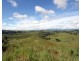 Millaa Millaa QLD 4886