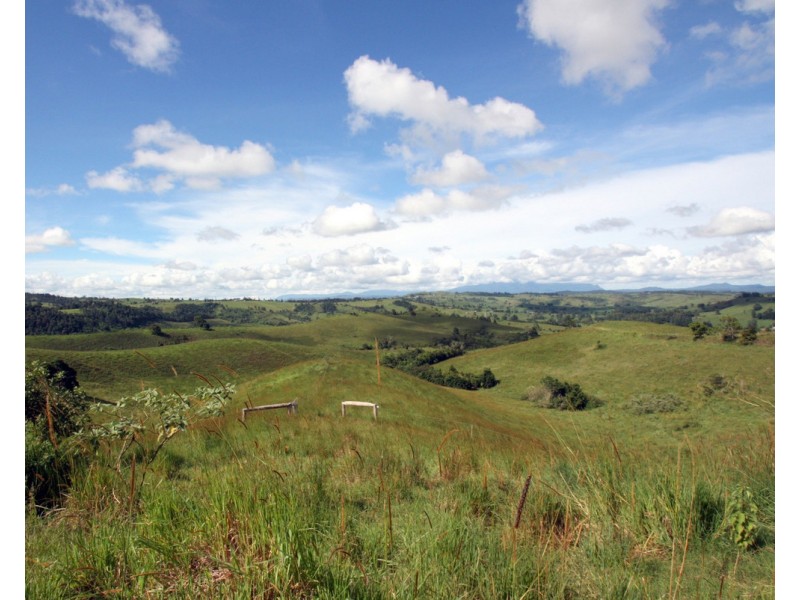 Millaa Millaa QLD 4886