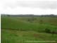 Millaa Millaa QLD 4886