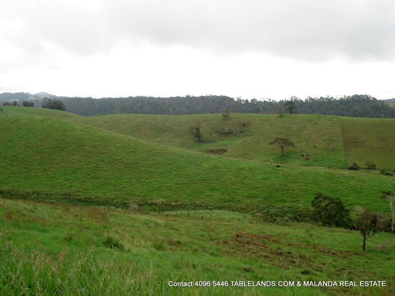 Millaa Millaa QLD 4886