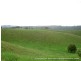 Millaa Millaa QLD 4886
