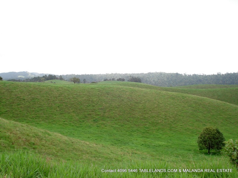 Millaa Millaa QLD 4886