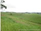 Millaa Millaa QLD 4886
