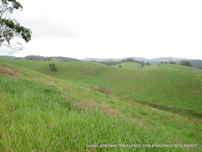 Millaa Millaa QLD 4886