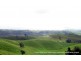 Millaa Millaa QLD 4886