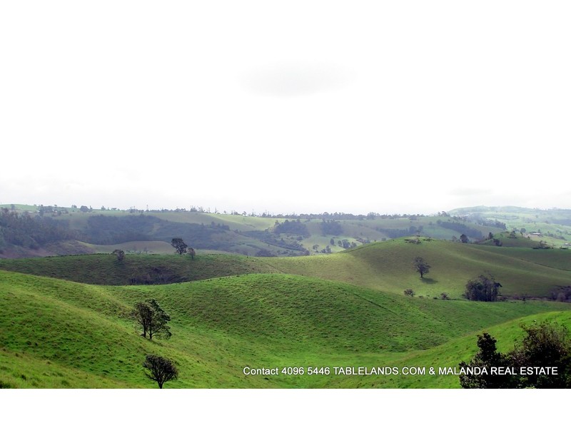 Millaa Millaa QLD 4886