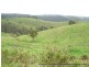 Millaa Millaa QLD 4886