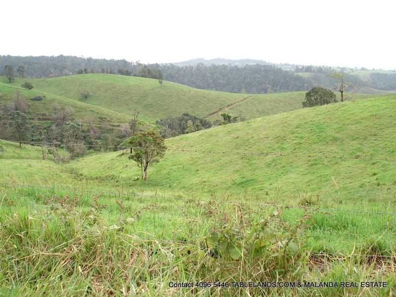 Millaa Millaa QLD 4886