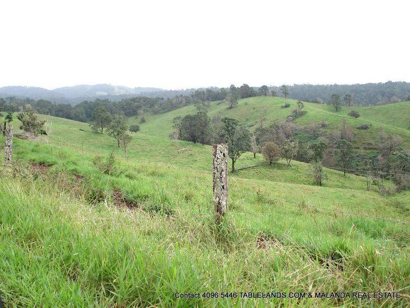 Millaa Millaa QLD 4886