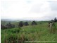 Millaa Millaa QLD 4886