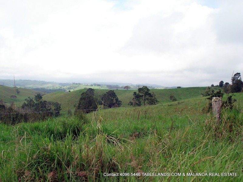 Millaa Millaa QLD 4886