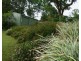 Ravenshoe QLD 4888