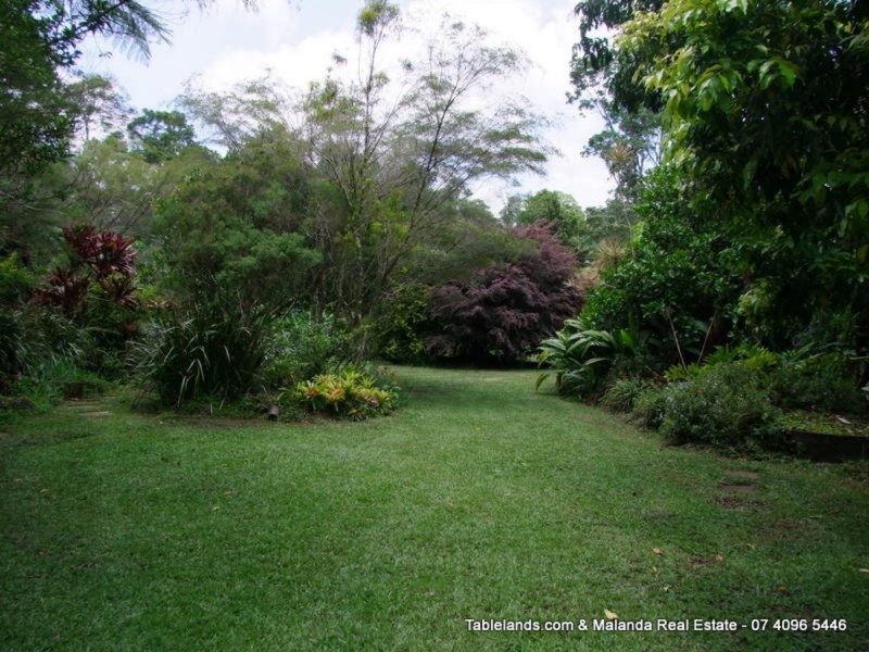 Millaa Millaa QLD 4886