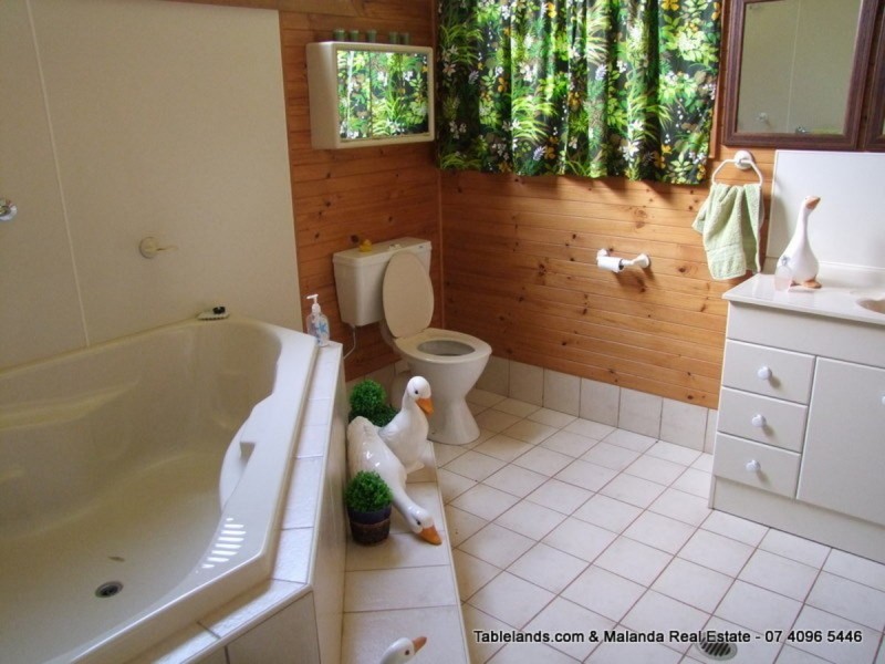 Millaa Millaa QLD 4886