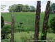 Millaa Millaa QLD 4886