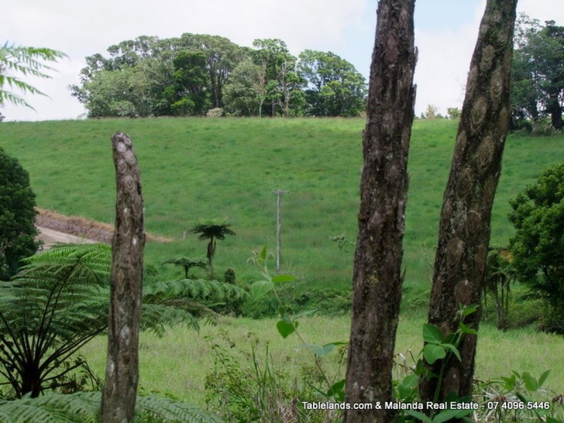 Millaa Millaa QLD 4886