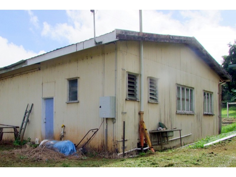 Millaa Millaa QLD 4886