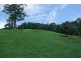 Millaa Millaa QLD 4886