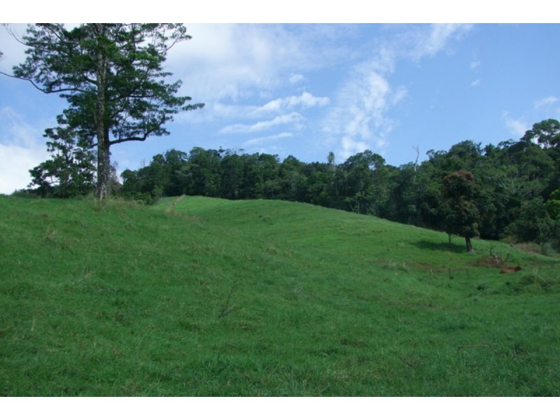 Millaa Millaa QLD 4886