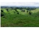 Millaa Millaa QLD 4886