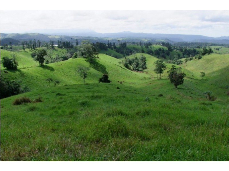 Millaa Millaa QLD 4886