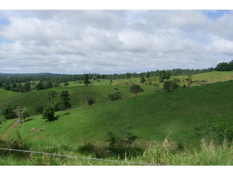 Millaa Millaa QLD 4886