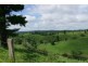 Millaa Millaa QLD 4886