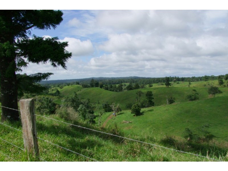 Millaa Millaa QLD 4886