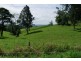 Millaa Millaa QLD 4886