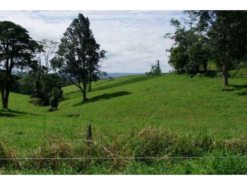 Millaa Millaa QLD 4886