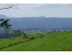 Millaa Millaa QLD 4886