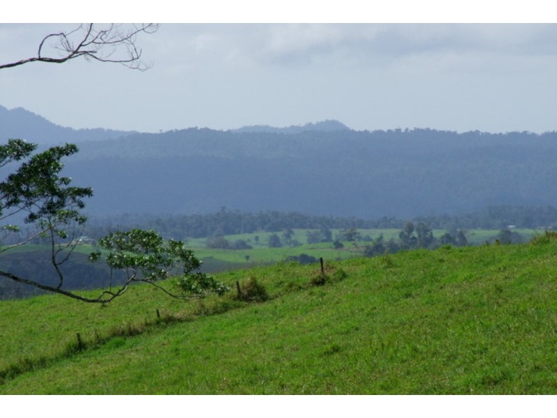 Millaa Millaa QLD 4886