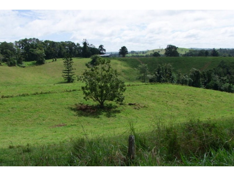 Millaa Millaa QLD 4886
