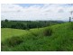 Millaa Millaa QLD 4886