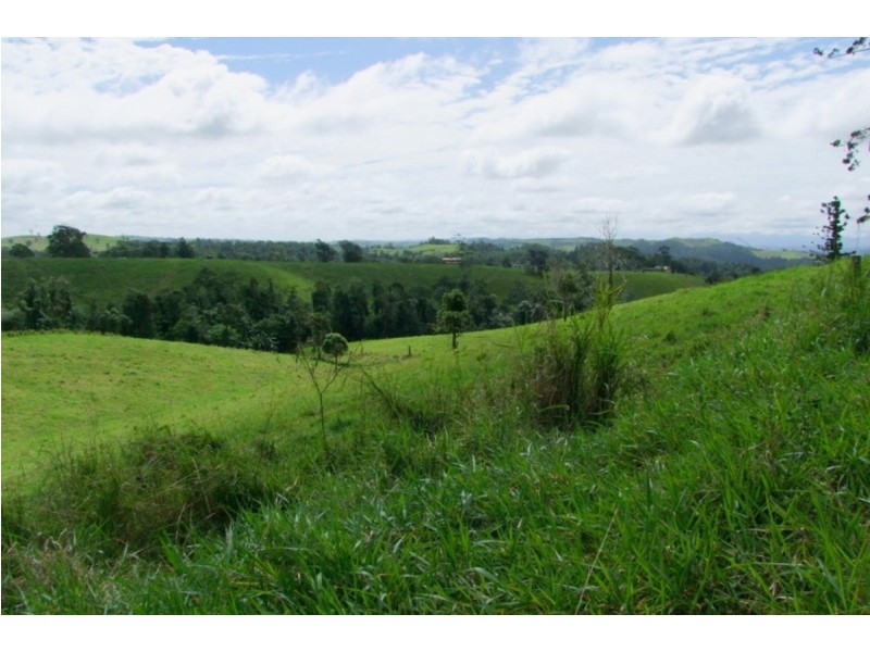 Millaa Millaa QLD 4886