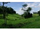 Millaa Millaa QLD 4886