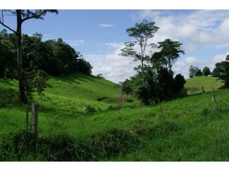 Millaa Millaa QLD 4886