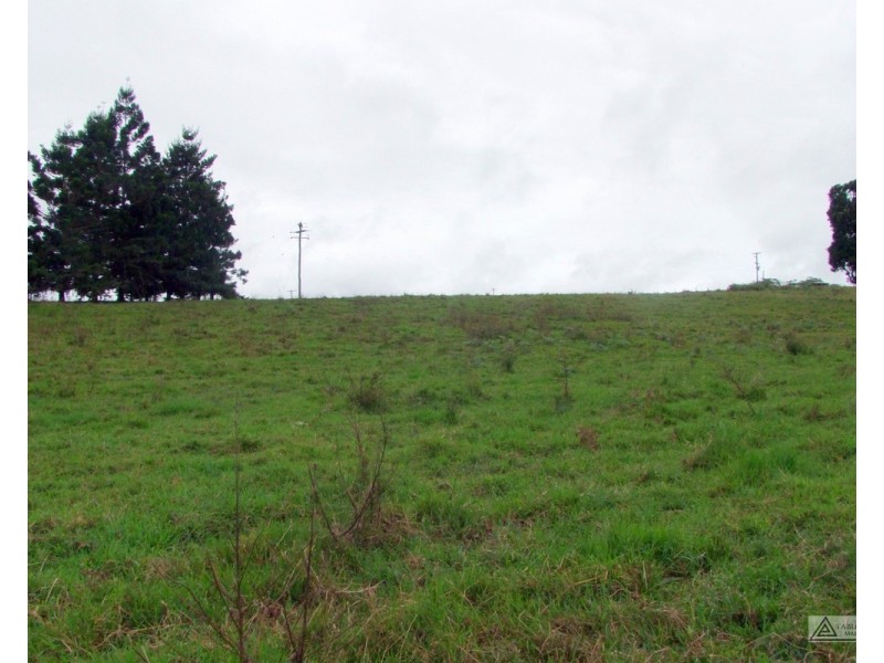 Millaa Millaa QLD 4886