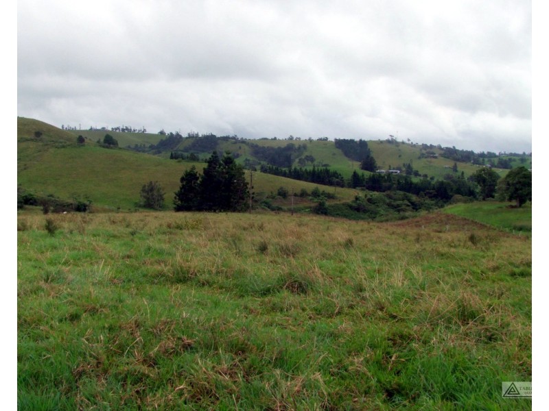Millaa Millaa QLD 4886