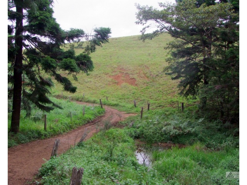 Millaa Millaa QLD 4886