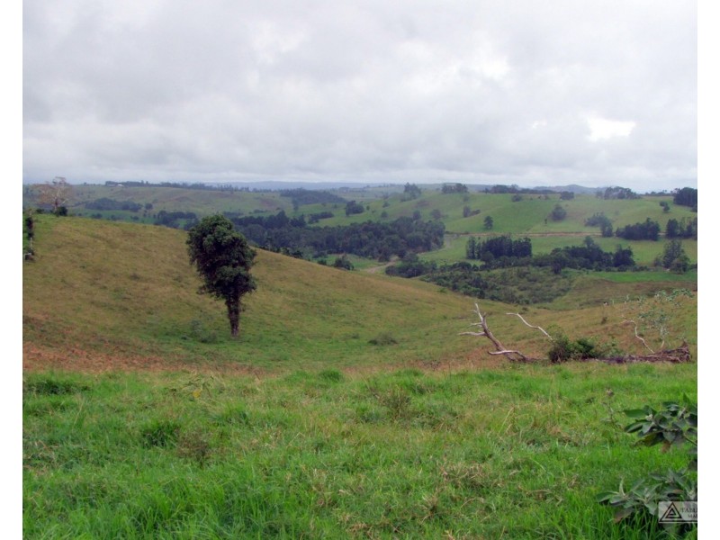 Millaa Millaa QLD 4886