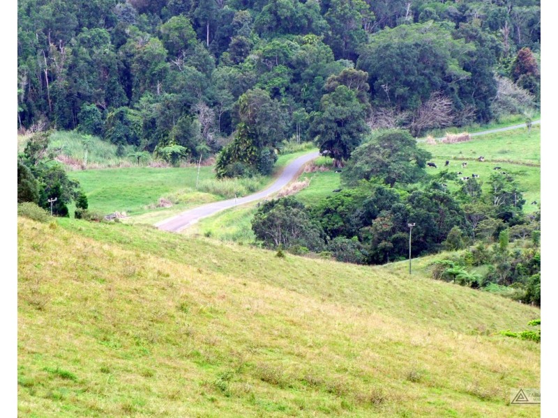 Millaa Millaa QLD 4886