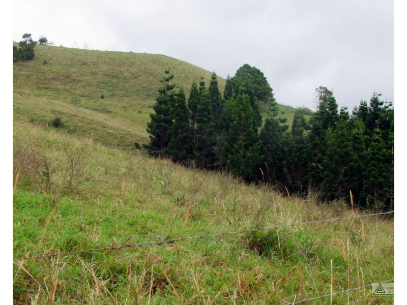 Millaa Millaa QLD 4886