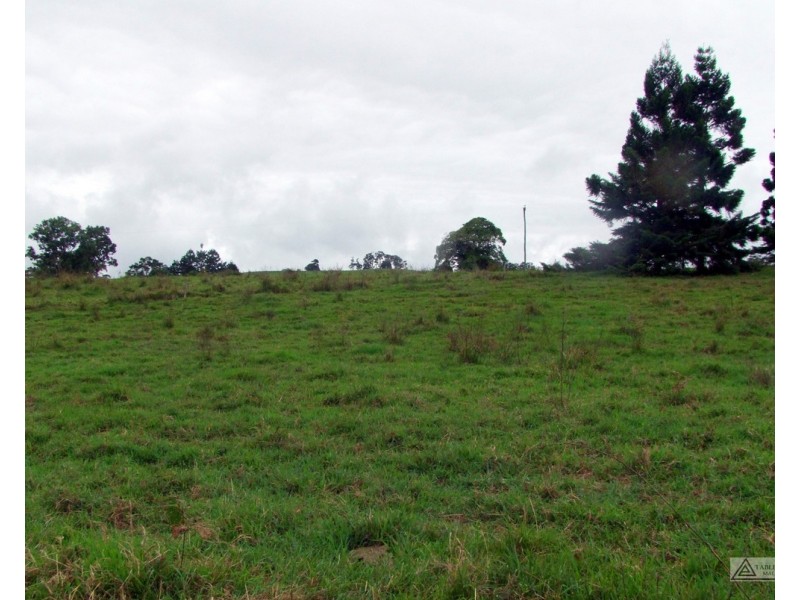 Millaa Millaa QLD 4886