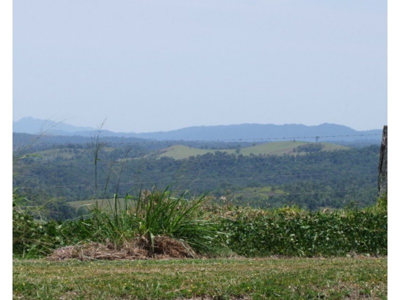 Millaa Millaa QLD 4886